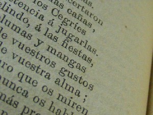 biblioteca 033 copy.jpg